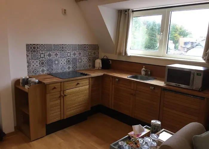 De Druif Appartement *